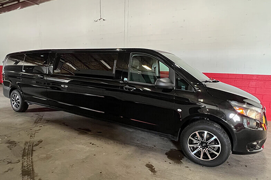 elite detroit limo