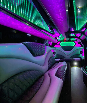 Detroit limo interior